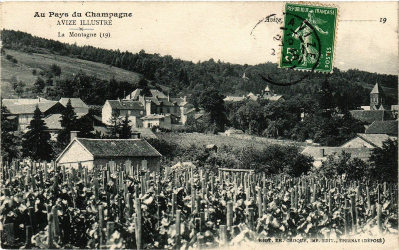 Carte postale ancienne Avize - La Montagne à Avize