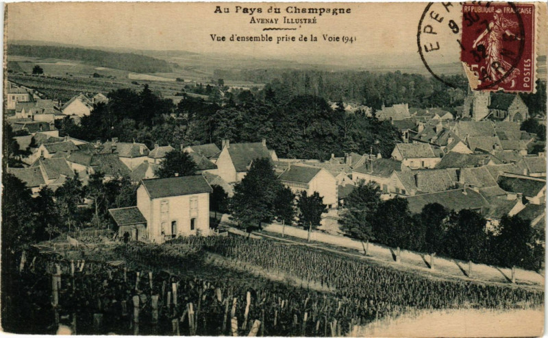 Carte postale ancienne Avenay - Vue d'Ensemble prise de la Voie