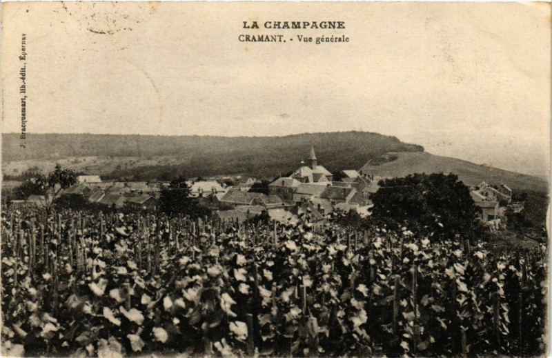Carte postale ancienne Cramant - Vue générale à Cramant