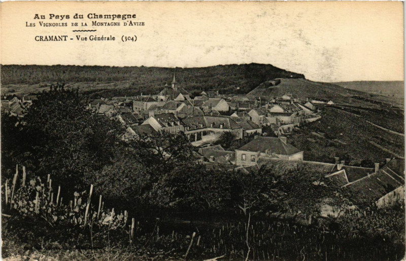 Carte postale ancienne Cramant - Vue générale à Cramant