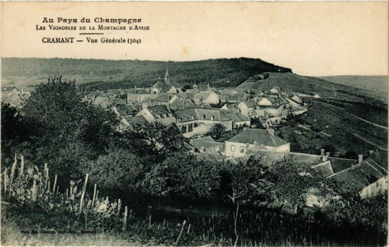 Carte postale ancienne Cramant - Vue générale à Cramant