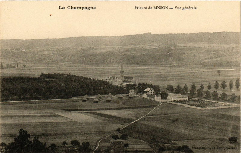 Carte postale ancienne Binson - Vue générale