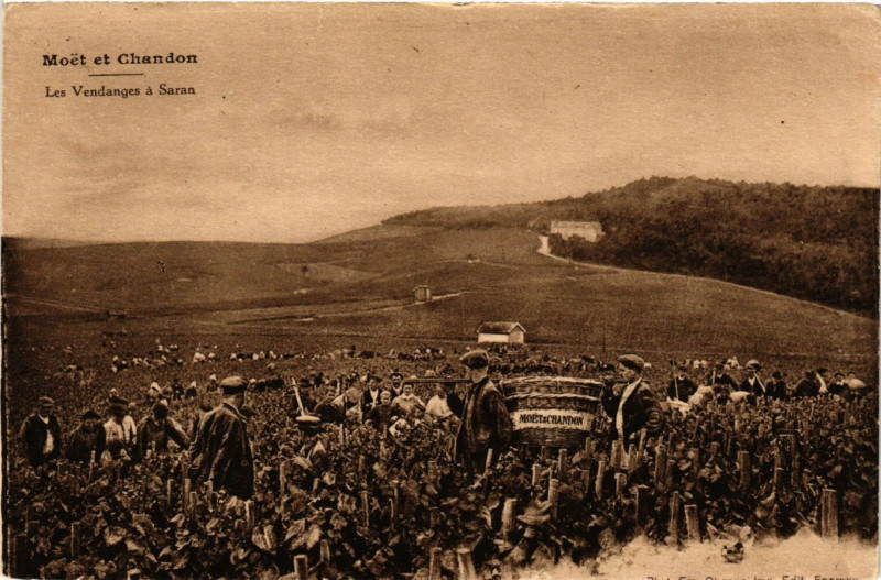 Carte postale ancienne Moet en Chandon - Les Vendanges a Saran