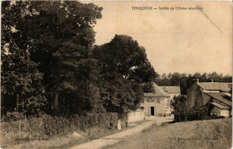 Carte postale ancienne Tinqueux-Jardin de l'Orme seculaire à Tinqueux