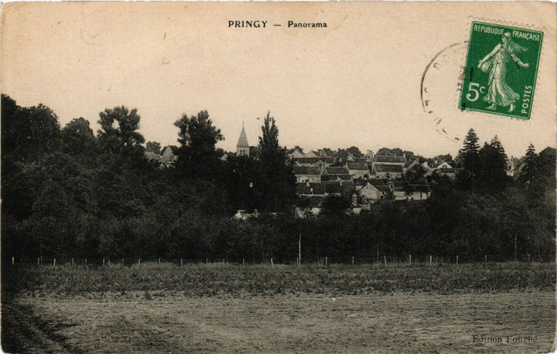 Carte postale ancienne Prigny-Panorama