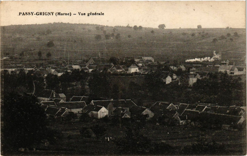Carte postale ancienne Passy-Grigny Vue générale à Passy-Grigny