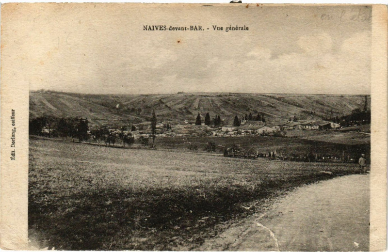 Carte postale ancienne Naives-devant-Bar Vue générale