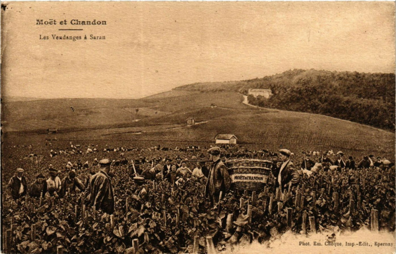Carte postale ancienne Moet et Chandon. Les Vendanges a Saran