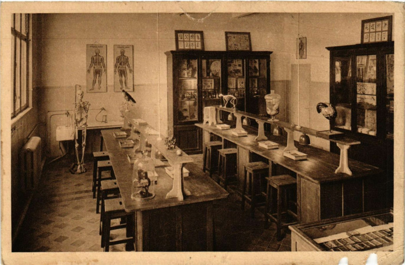 Carte postale ancienne Laboratoire de Sciences Naturelles