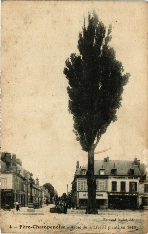 Carte postale ancienne Fere-Champenoise - Arbre de la Liberte à Fère-Champenoise