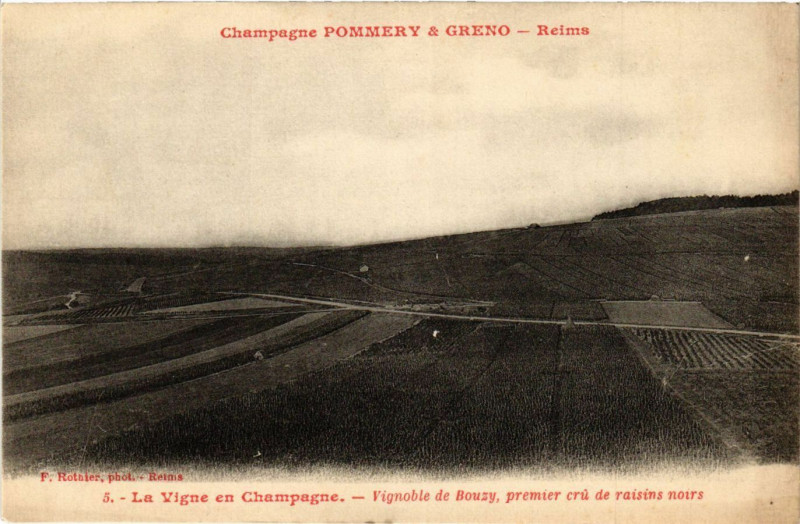 Carte postale ancienne Reims - La Vigne en Champagne à Reims
