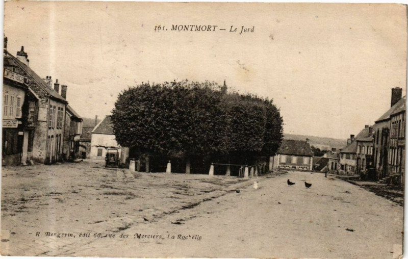 Carte postale ancienne Montmort --le-Jard