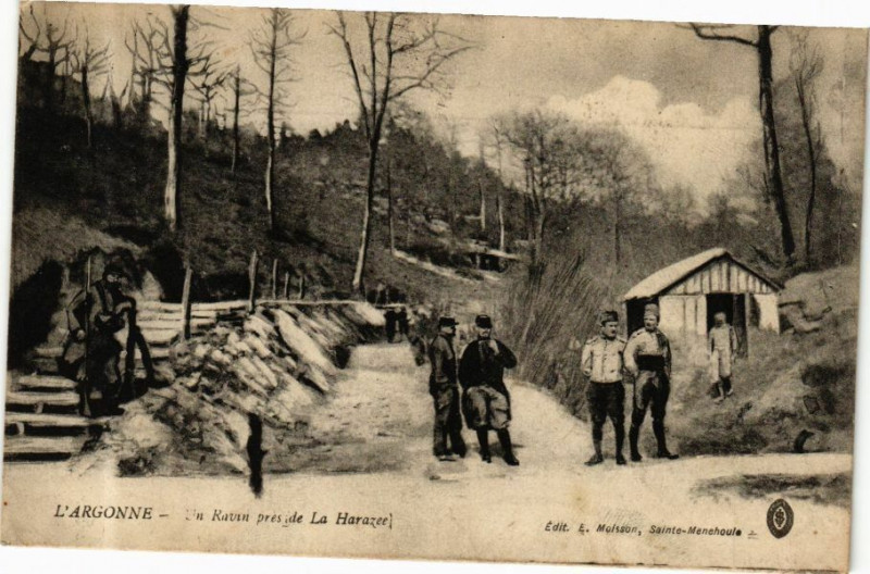 Carte postale ancienne L'Argonne - Un Ratan pres de la Harazer
