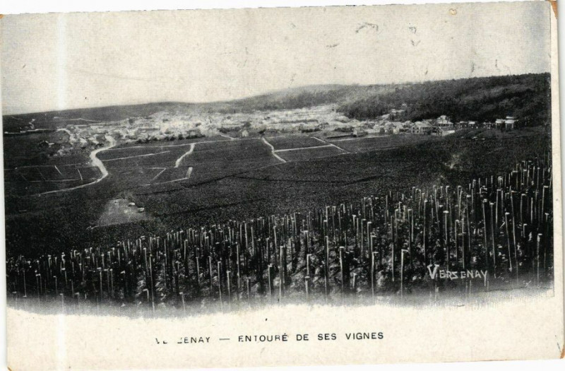 Carte postale ancienne Entoure de ses Vignes