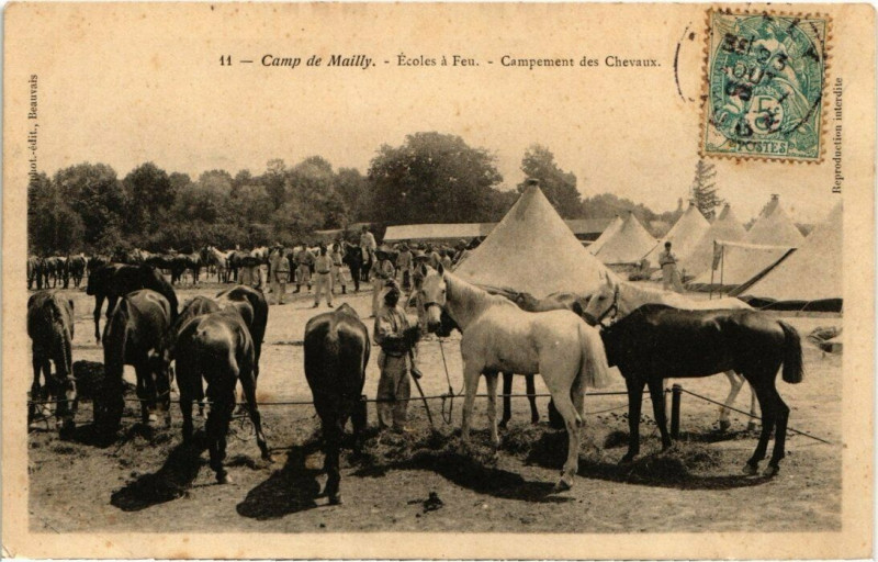 Carte postale ancienne Camp-de-Mailly - Ecoles a feu - cmapement des chevaux