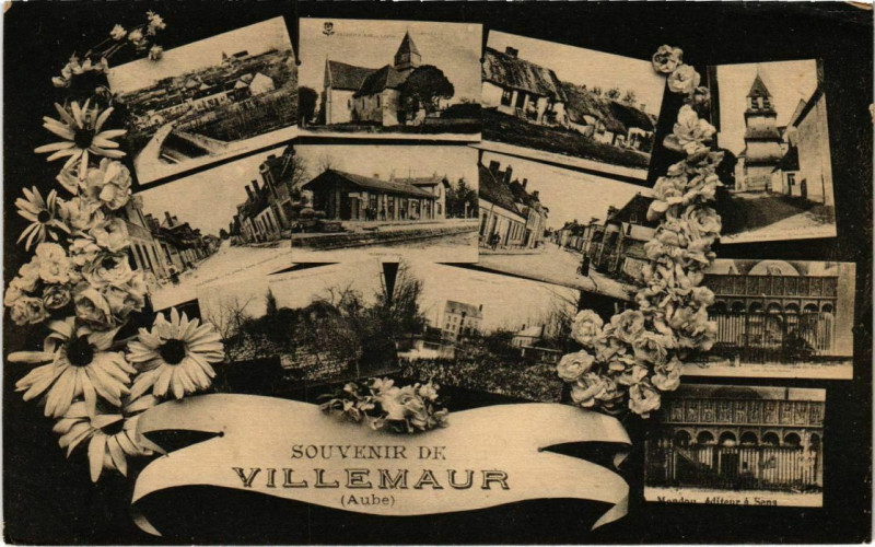 Carte postale ancienne Villemaur - Souvenir collage fleurs
