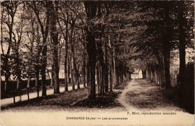 Carte postale ancienne Chaource- Les promenades France à Chaource