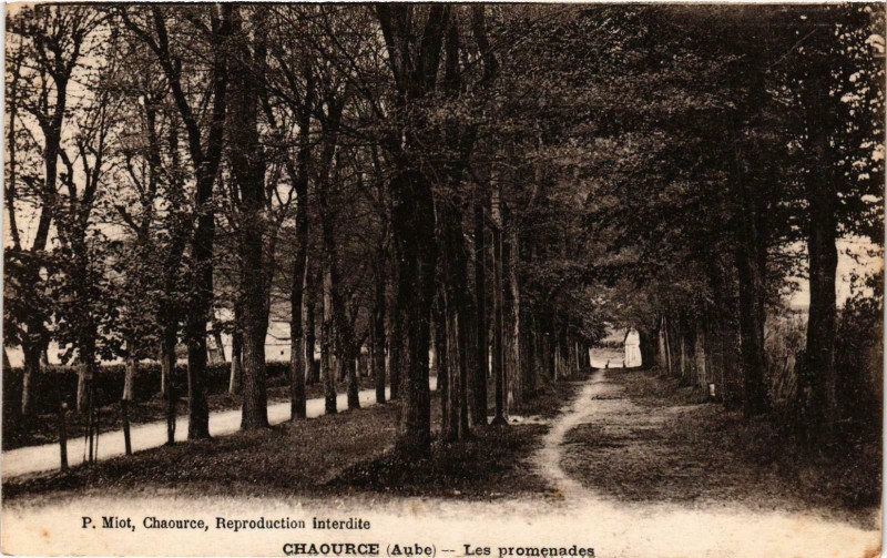 Carte postale ancienne Chaource- Les promenades France à Chaource