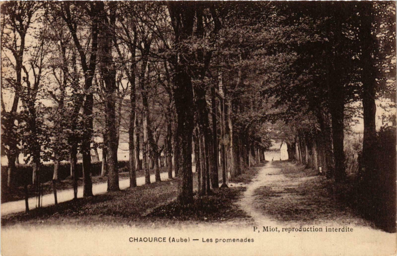 Carte postale ancienne Chaource- Les promenades France à Chaource