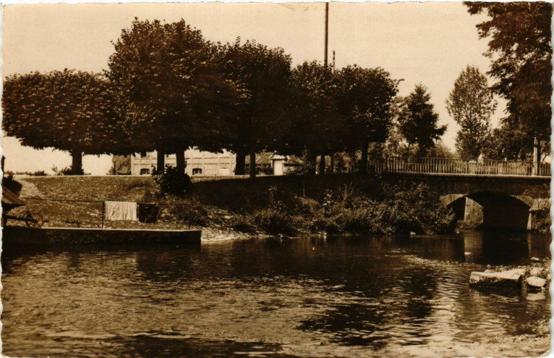 Carte postale ancienne Grandchamp - Les Bords de l'Ouanne à Charny Orée de Puisaye