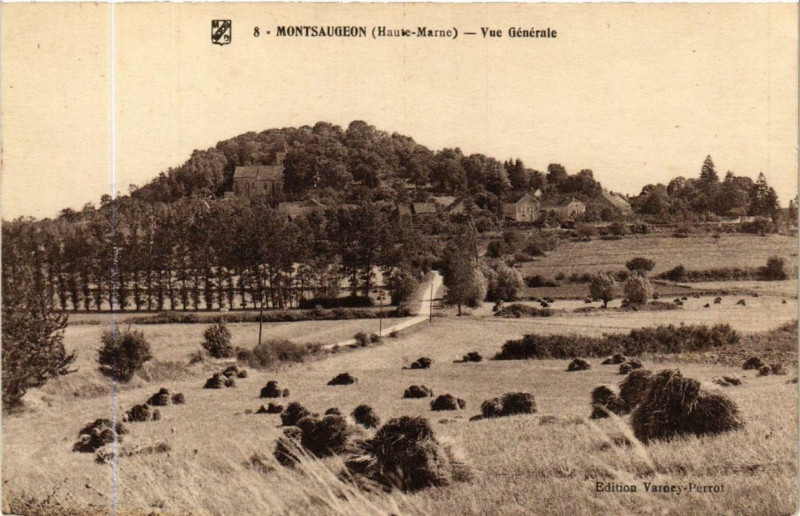 Carte postale ancienne Montsaugeon Vue générale