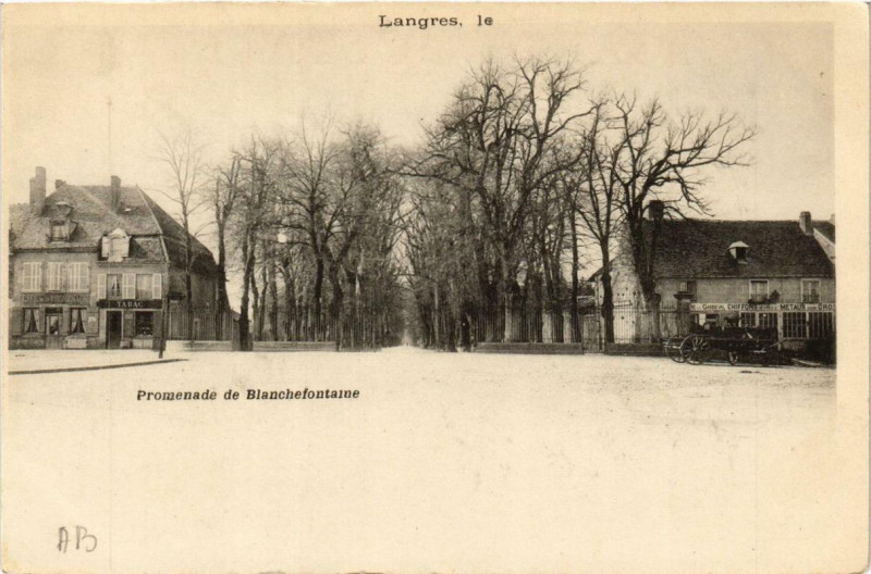 Carte postale ancienne Langres Promenade de Blanchefontaine à Langres