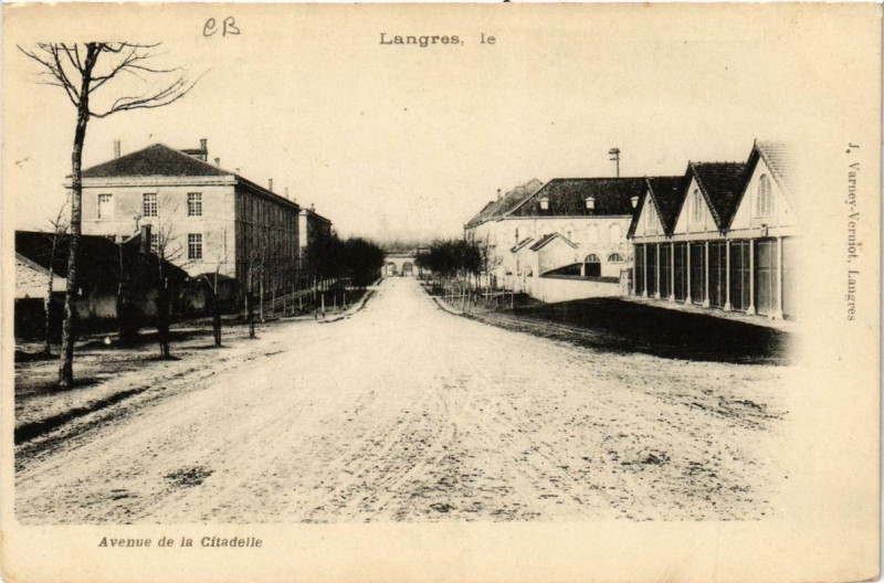 Carte postale ancienne Langres Avenue de la Citadelle à Langres