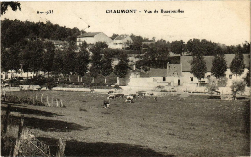 Carte postale ancienne Chaumont Vue de Buxereuilles à Chaumont