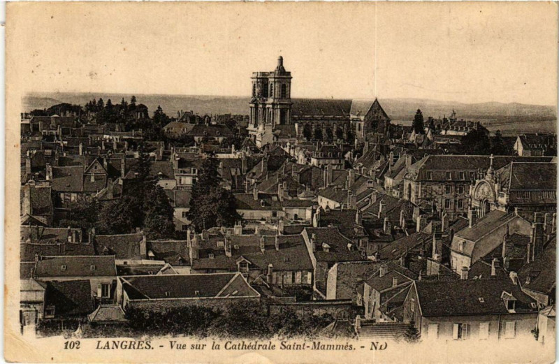 Carte postale ancienne Langres Vue sur la Cathédrale Saint-Mammes à Langres