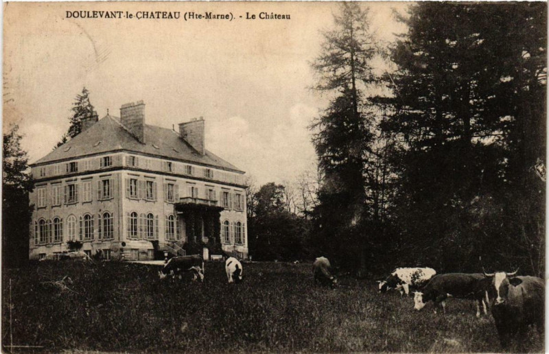 Carte postale ancienne Doulevant-le-Chateau Le Chateau à Doulevant-le-Château