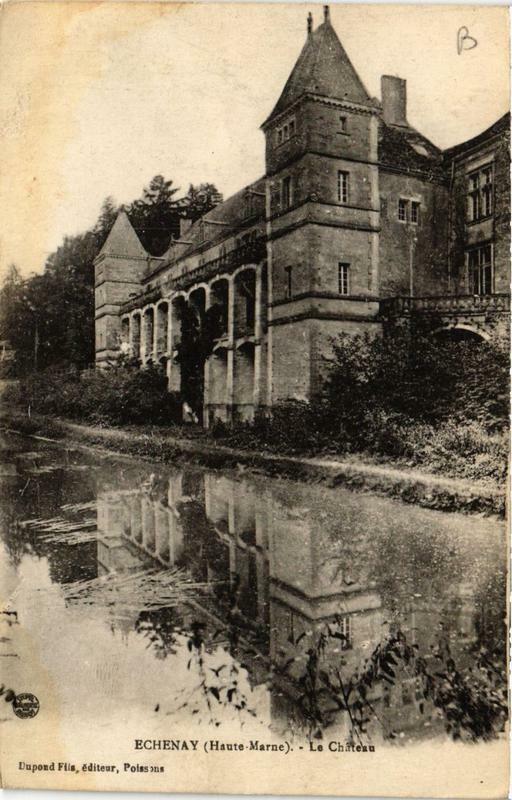 Carte postale ancienne Echenay Le Chateau à Échenay