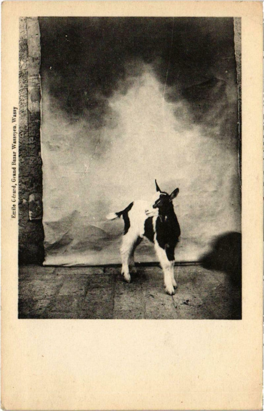 Carte postale ancienne Emile Gerard Grand Bazar Wasseyen Wassy à Wassy