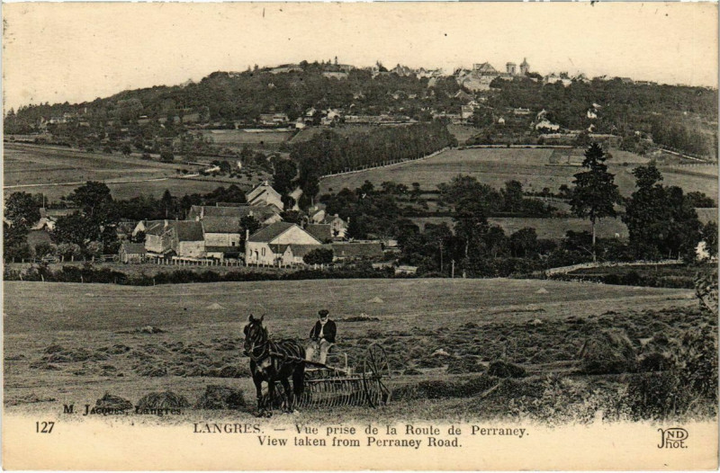 Carte postale ancienne Langres - Vue prise de la Route de Perrancy à Langres