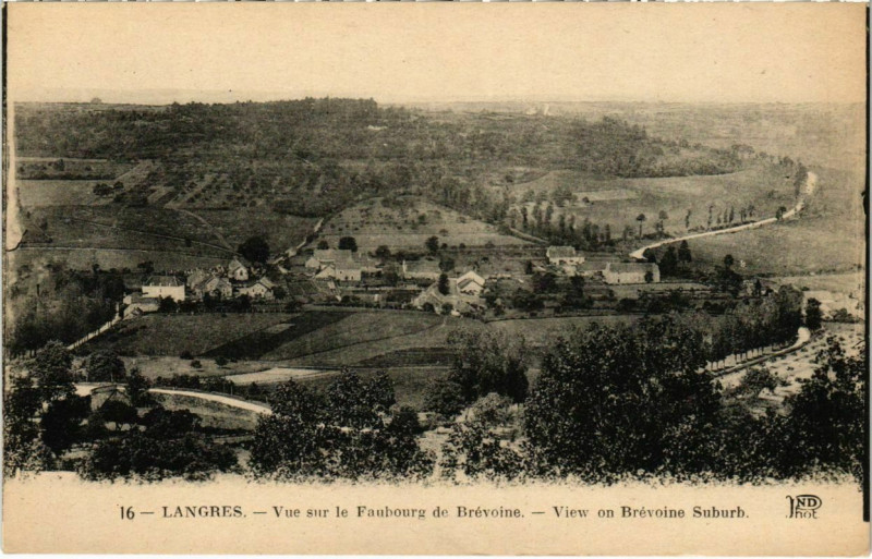 Carte postale ancienne Langres - Vue sur le Faubourg de Brevoine à Langres