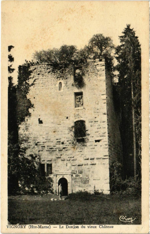 Carte postale ancienne Vignory - Le Donjon du vieux Chateau à Vignory