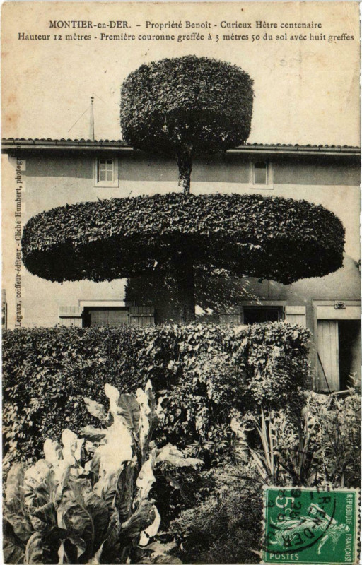 Carte postale ancienne Montier-en-Der - Propriete Benoit