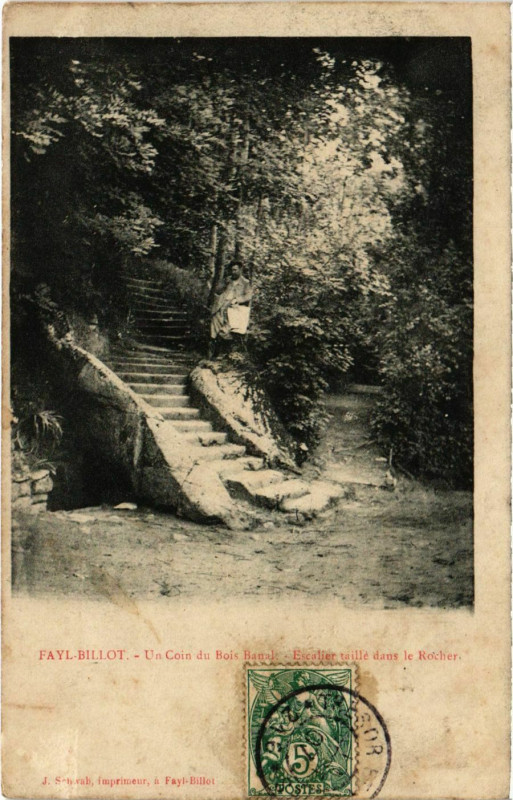 Carte postale ancienne Fayl-Billot - Un coin du Bois Banal à Fayl-Billot