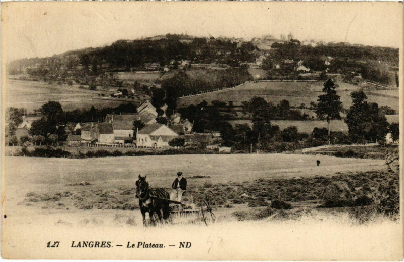 Carte postale ancienne Langres - La Plateau à Langres