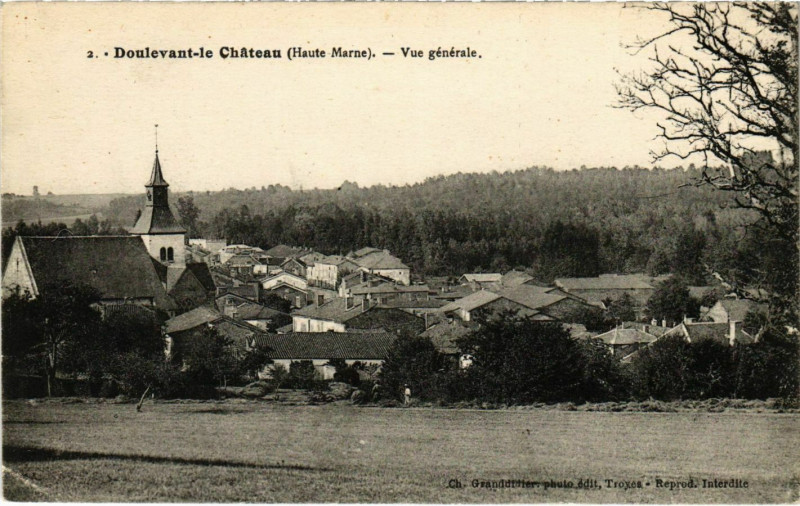 Carte postale ancienne Doulevant le Chateau - Vue générale à Doulevant-le-Château