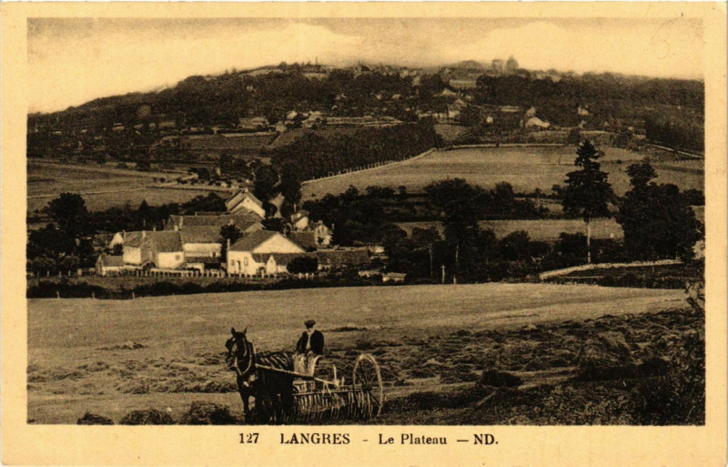 Carte postale ancienne Langres - Le Plateau à Langres