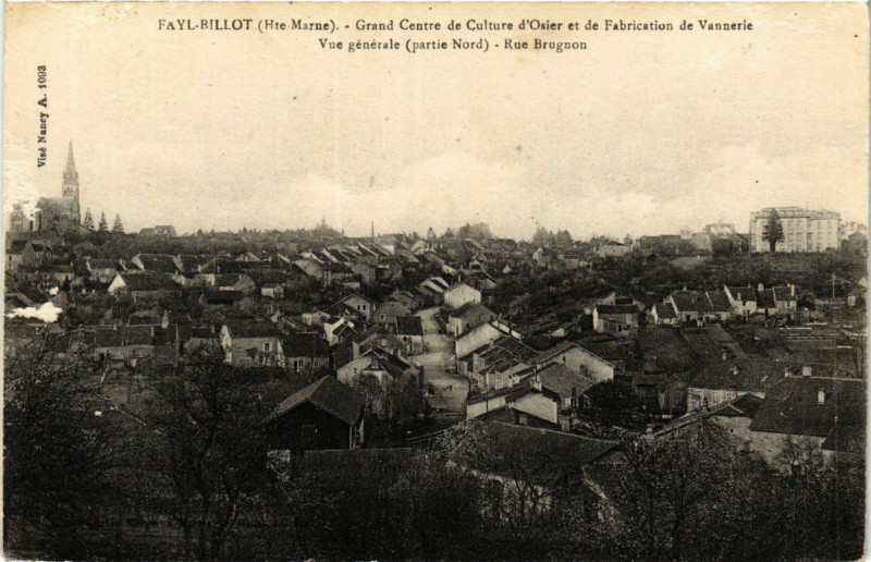 Carte postale ancienne Fayl-Billot - Grand CEntre de Culture d'Osier et de Fabrication de à Fayl-Billot