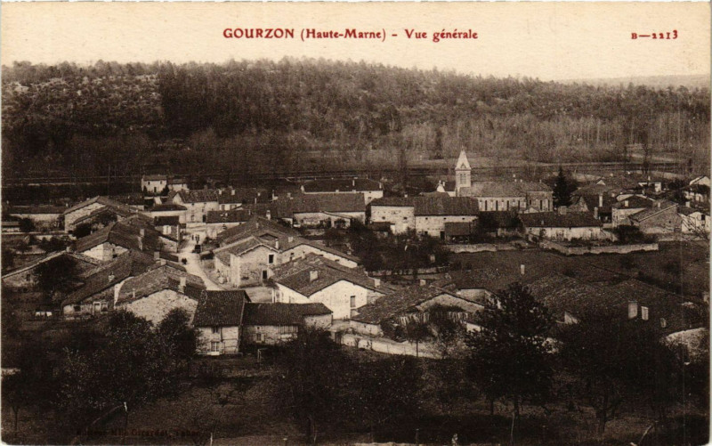 Carte postale ancienne Gourzon - Vue generale