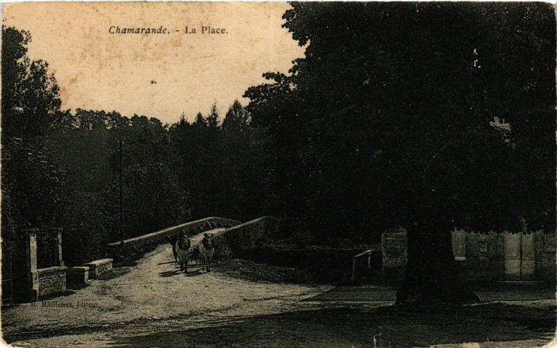 Carte postale ancienne Chamarande - La Place