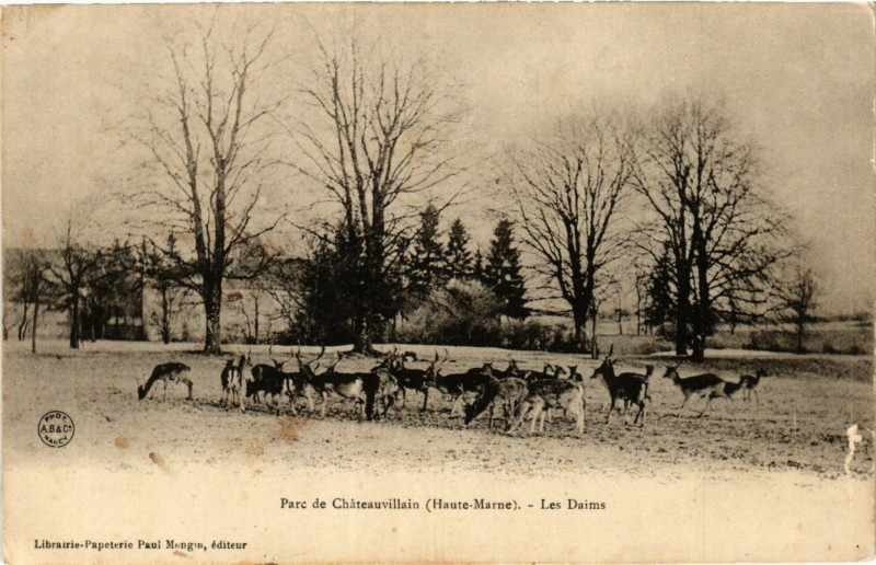 Carte postale ancienne Parc de Chateauvillain - Les Daims à Châteauvillain