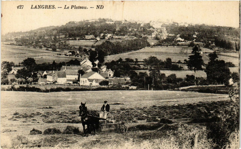Carte postale ancienne Langres - Le Plateau à Langres