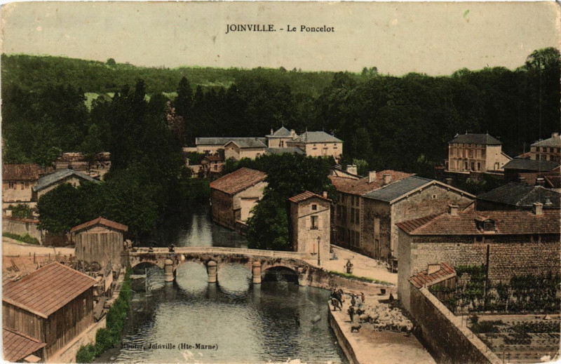 Carte postale ancienne Joinville - Le Poncelot à Joinville