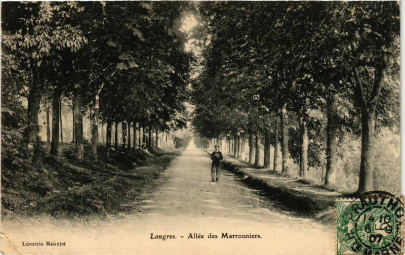 Carte postale ancienne Langres - Allée des Marronniers à Langres