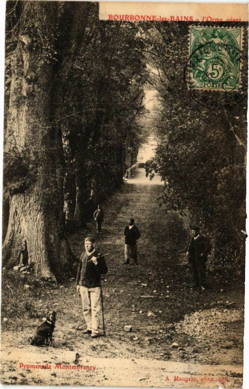 Carte postale ancienne Bourbonne les Bains - L'Orme neant à Bourbonne-les-Bains
