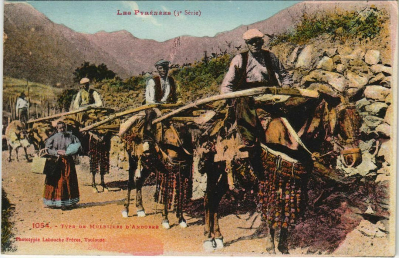 Carte postale ancienne Les Pyrenees - Type de Muletiers d'Andorre