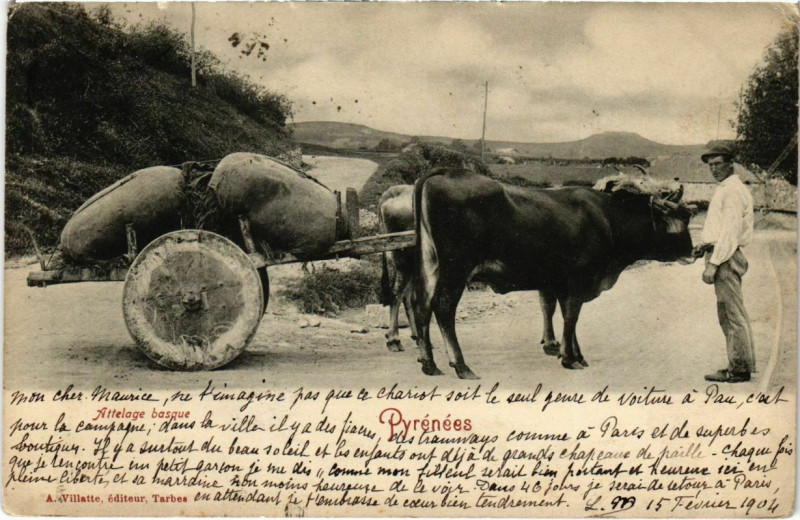 Carte postale ancienne Attelage basque à Asque